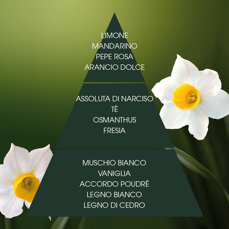 L'amande Deo spray Narciso supremo Vendite Flash