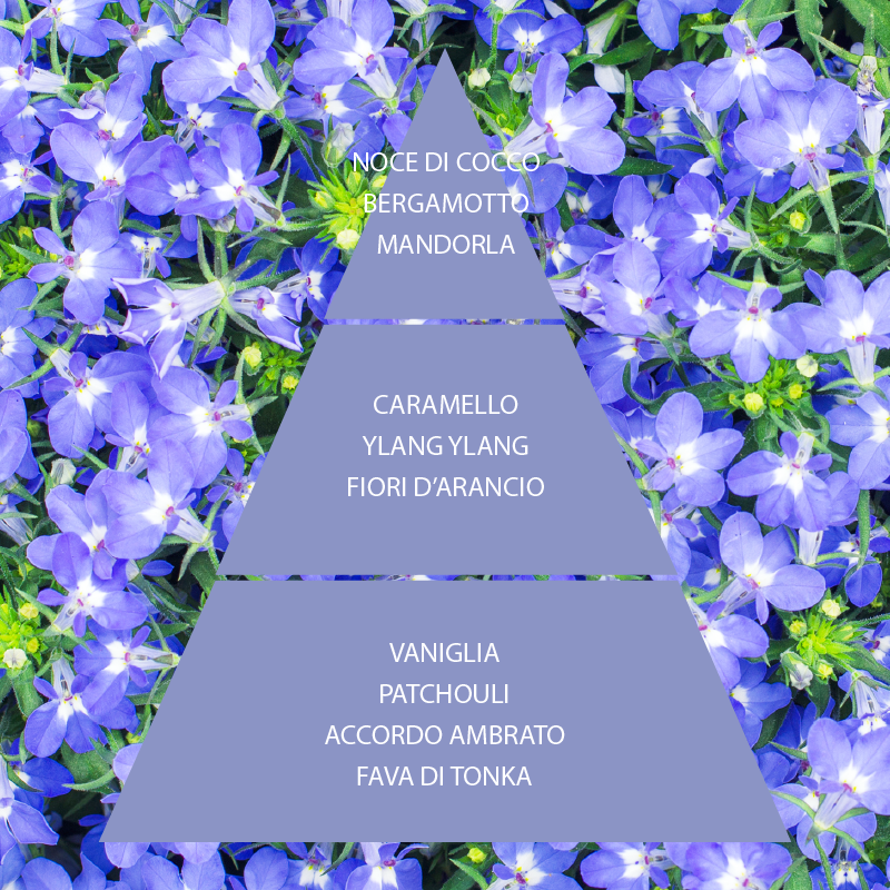 L'amande Deo spray Fiori di Zaffiro In Linea