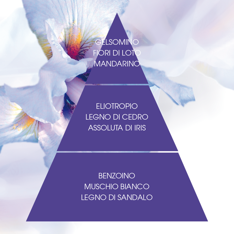 L'amande Crema corpo Iris supremo Pezzi Unici