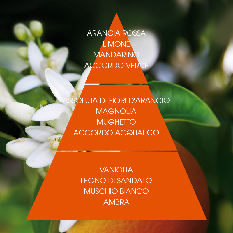 L'amande Crema corpo Fior d'arancio supremo Offerta
