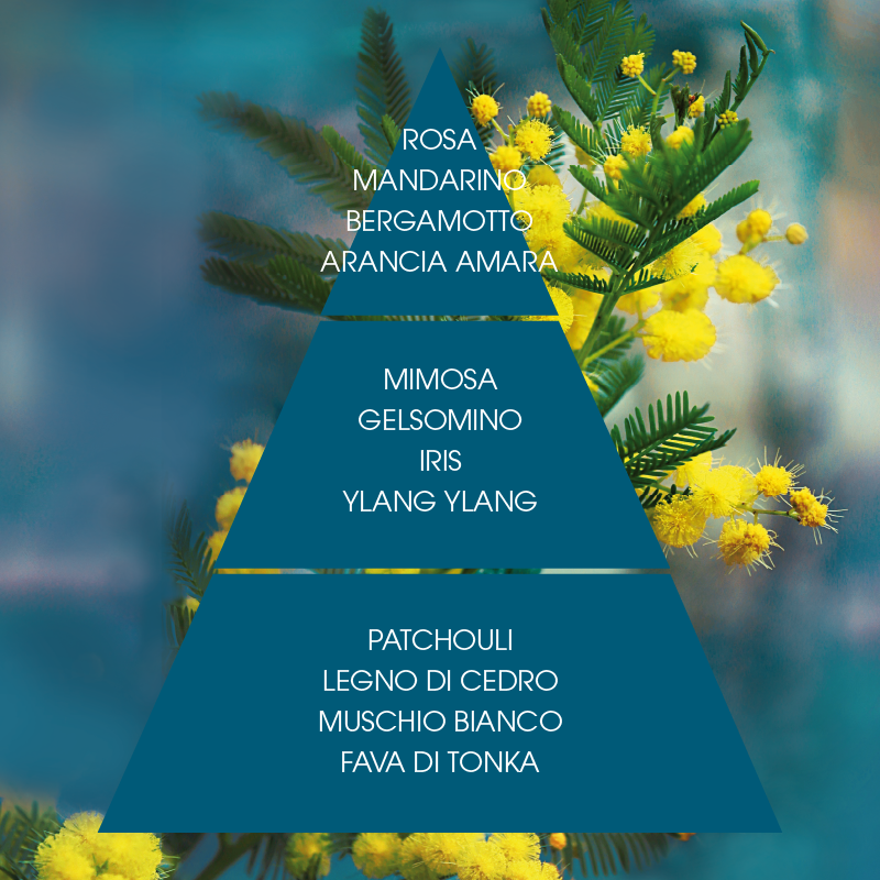 L'amande Crema corpo Mimosa suprema Outlet