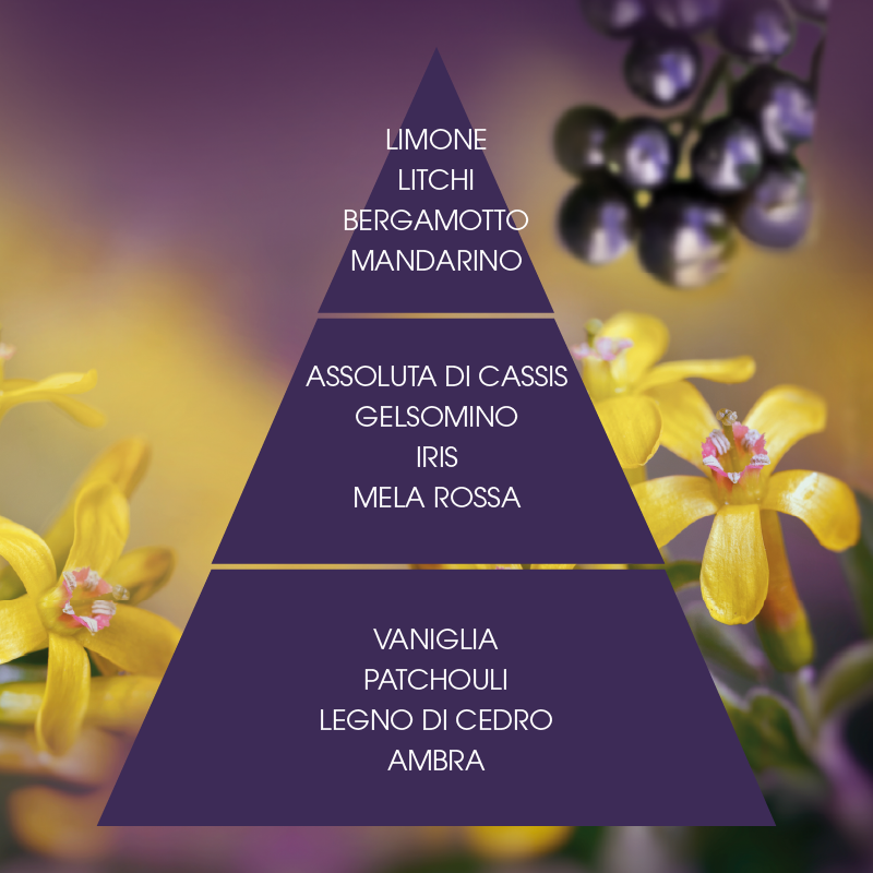 L'amande Crema corpo Cassis supremo Offerte