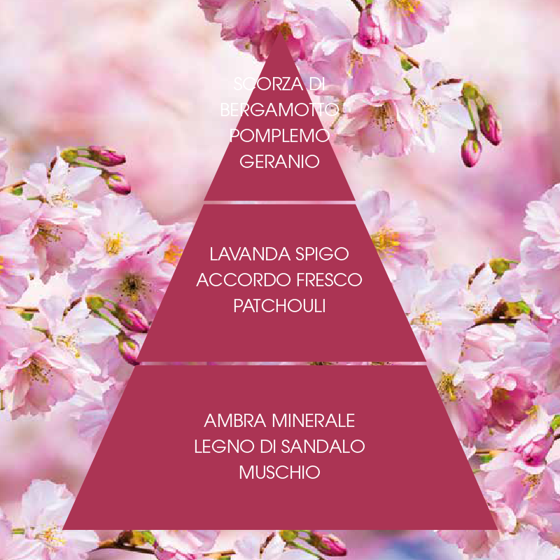 L'amande Crema corpo Gemme rosse Negozio
