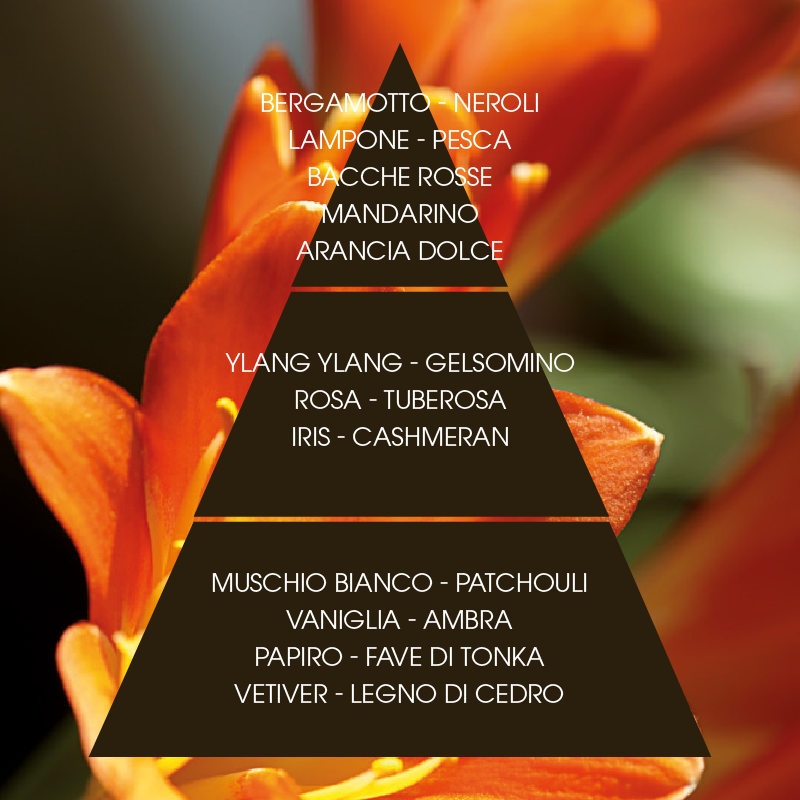 L'amande Crema corpo Lili Italia