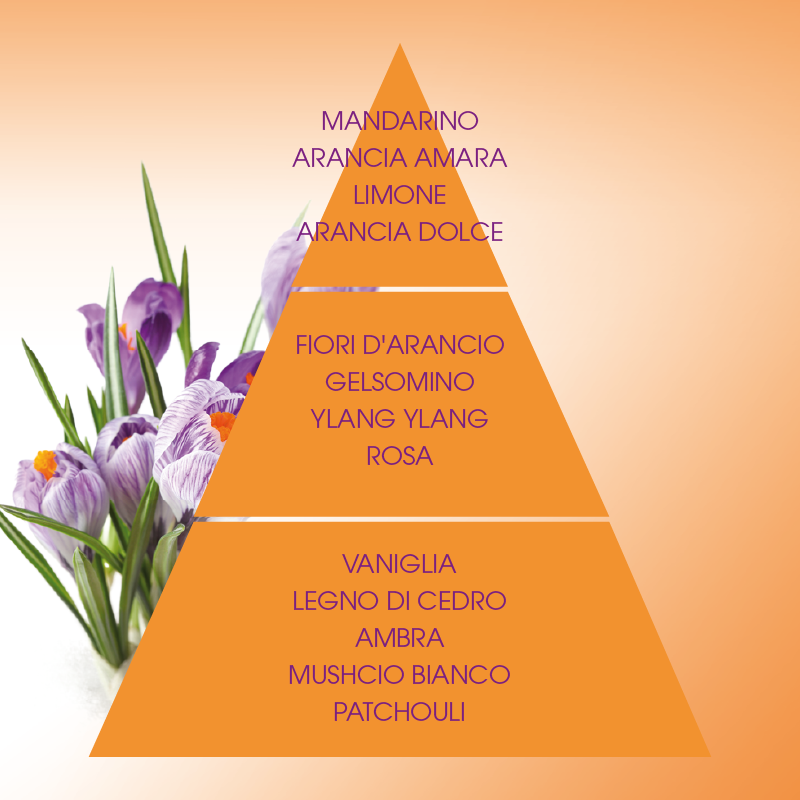 L'amande Bagno doccia Armonie Promozione