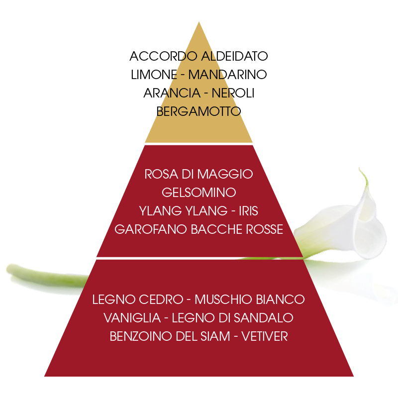 L'amande Eau de parfum Calla Shopping Online