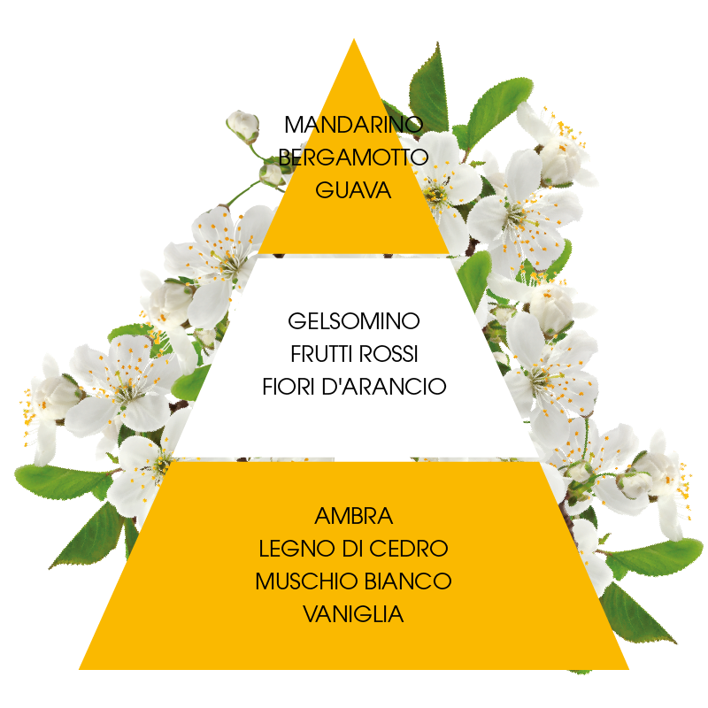 L'amande Profumatore per ambiente Fiori di ciliegio Italia