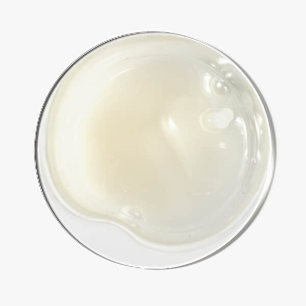 The INKEY List The INKEY List Acido salicilico Trattamento esfoliante del cuoio capelluto 150ml Economico