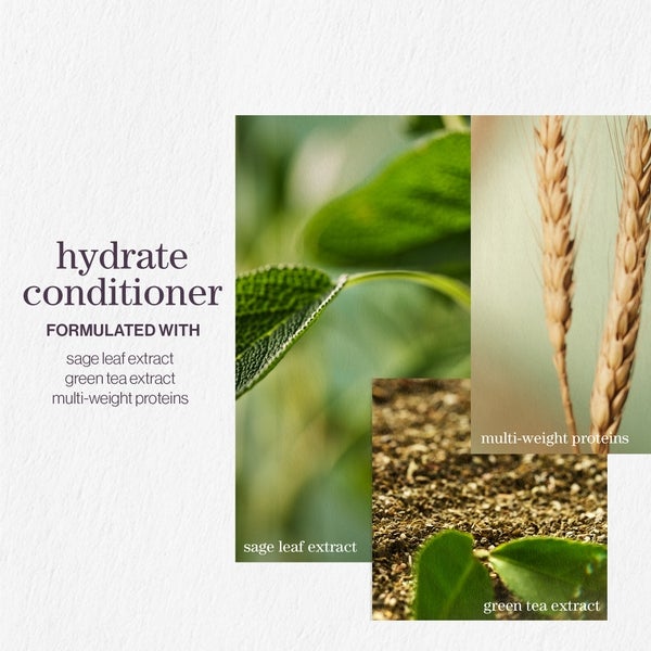 Pureology Pureology Hydrate Shampoo and Conditioner Moisturising Bundle for Dry Hair Sulphate Free for a Gentle Cleanse Black Friday Prezzi