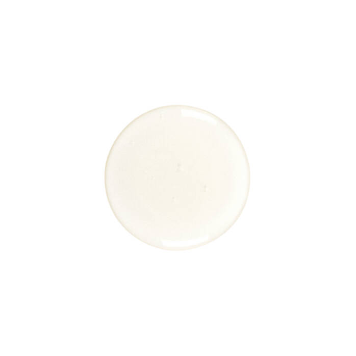 Kiehls Rice wheat volumizing shampoo Italia