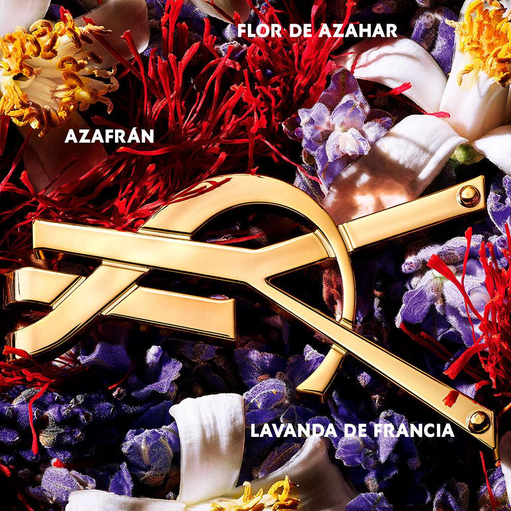 Yves Saint Laurent LIBRE LE PARFUM Moda