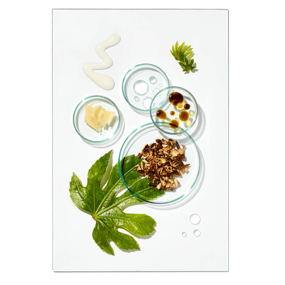Growgorgeous Set Completo Balance 2025