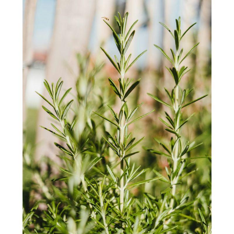 Acca Kappa BURRO CORPO AROMATICO Sottocosto