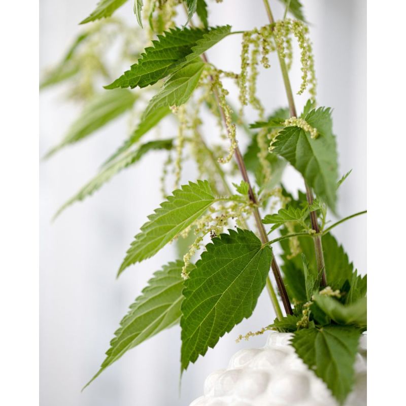 Acca Kappa CREMA MANI AROMATICA Vendita Calda